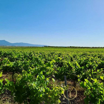 Exzellente Lagerhalle auf der Finca La Alberquilla