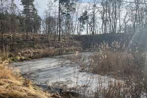 Absolute Alleinlagegrundstück in Lübbow mit kleinem See – Die vollständige Adresse der Immobilie erhältst du vom Anbieter., 29488 Lübbow – Vorschaubild 5