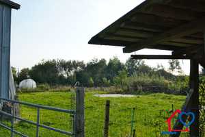 Modernisiertes Massivhaus auf Nordstrand - Kapitalanlage, Baulandfläche, Pferdehaltung möglich – Nordfriesland (Kreis) – Vorschaubild 21