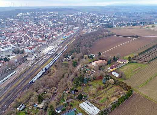 Haus kaufen in Alzey - ImmobilienScout24