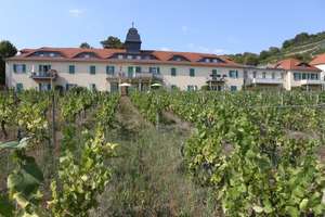 Property thumbnail 3