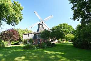 Historische Windmühle mit 2 separaten Wohneinheiten – Die vollständige Adresse der Immobilie erhältst du vom Anbieter., 25842 Bargum – Vorschaubild 2