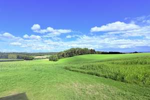 … AIGNER - Traumlage! Neubau EFH in erhöhter Position mit Bergblick - 10 Min nach Mühldorf & A94 ... – Wimberg 9a, 84494 Niederbergkirchen – Vorschaubild 3