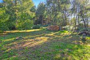 3,5 ha Land mit Jagdhütte -  in der Nähe der beiden Saaletalsperren (A1619)
 – Die vollständige Adresse der Immobilie erhältst du vom Anbieter., 7368 Remptendorf – Vorschaubild 11