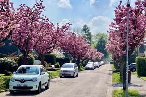 Lichtdurchfluteter Bungalow mit besonderer Architektur und Kamin – einziehen und wohlfühlen! – Die vollständige Adresse der Immobilie erhältst du vom Anbieter., 41239 Schmölderpark, Mönchengladbach – Vorschaubild 21