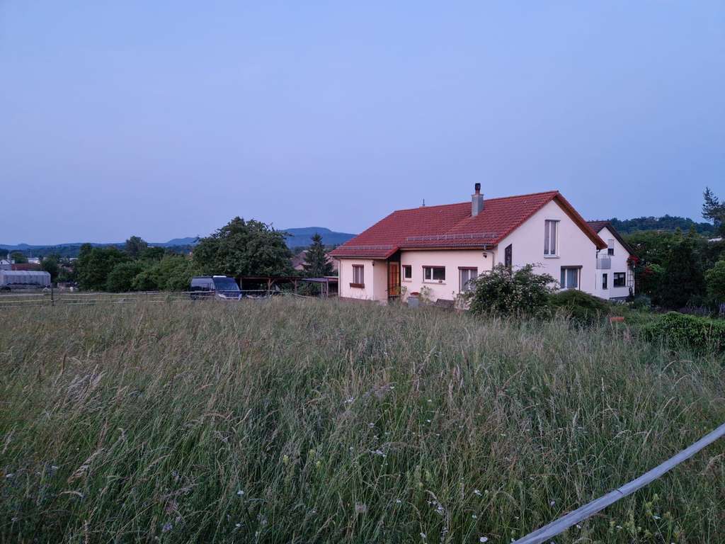Immobilie in Ofterdingen - Pferdehalter aufgepaßt !!! Wohnhaus, Bauplatz und Offenstall zur Pferdehaltung am Haus, 19ar - Bild 0