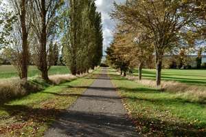 6 Zimmer im Grünen am Schweriner See – Storchenweg 6b, 19067 Dobin am See – Vorschaubild 34