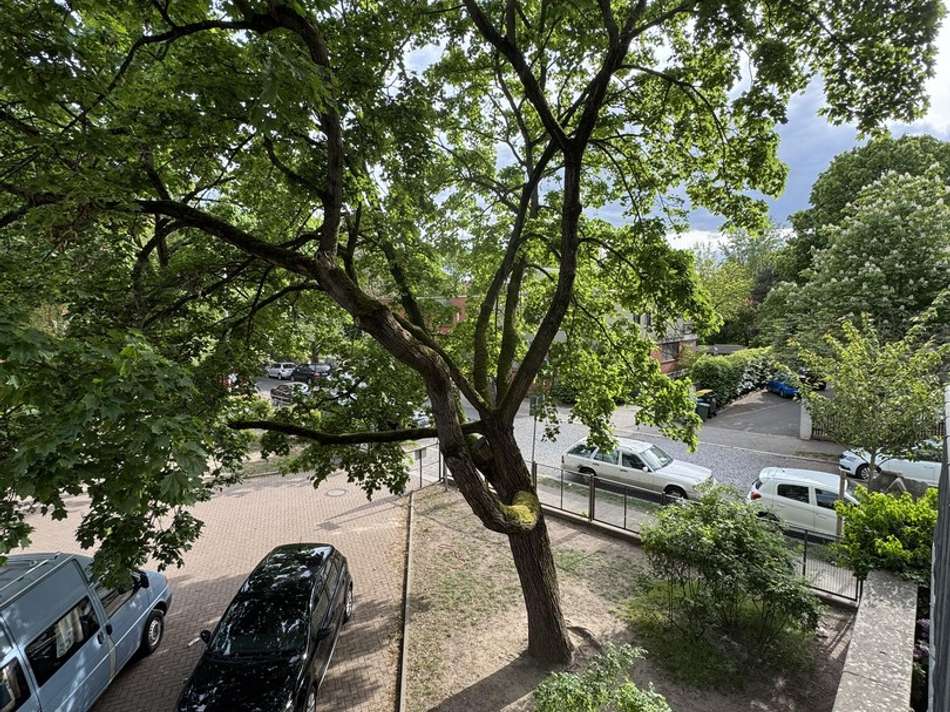 Aussicht vom Balkon