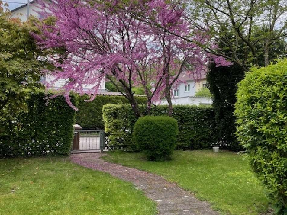 Weg Richtung Gartenausgang Wes