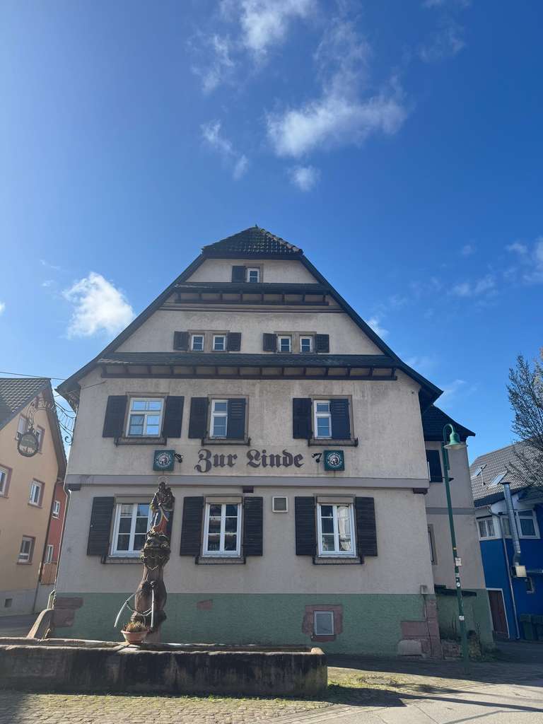 Immobilie in Hohberg - Attraktives Anlageobjekt mit Denkmal-AfA – Steuerliche Vorteile und Entwicklungspotenzial - Bild 0