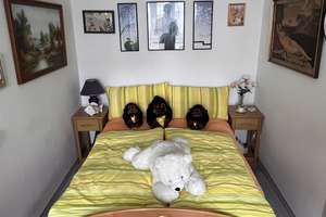 Property thumbnail 6