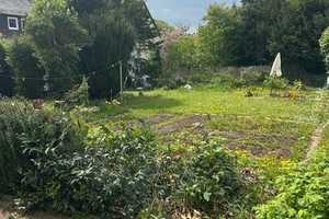 Mehrfamilienhaus in attraktiver Lage – Hameln-Pyrmont (Kreis) – Vorschaubild 3