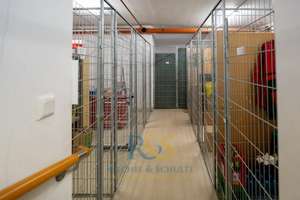 Property thumbnail 21