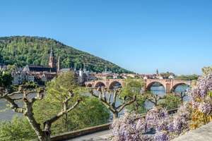Schlossvilla am Philosophenhügel in Heidelberg – Die vollständige Adresse der Immobilie erhältst du vom Anbieter., 69120 Neuenheim, Heidelberg – Vorschaubild 12