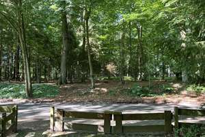 Naturnah wohnen an der Saselbek
Doppelhaushälfte mit großem Garten – Die vollständige Adresse der Immobilie erhältst du vom Anbieter., 22393 Sasel, Hamburg – Vorschaubild 20