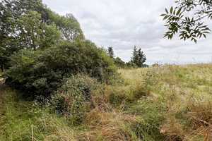 Naturidylle pur direkt am See - Einfamilienhaus im Rohbau mit weitläufigem Grundstück – Börde (Kreis) – Vorschaubild 6