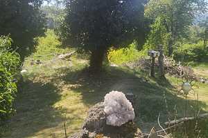 großzügige villa mit Panoramablick, swimmingpool, kamin und riesig garten – Auf Haderstichsborr 33, 55743 Birkenfeld (Kreis) – Vorschaubild 3