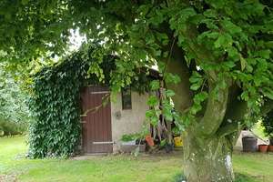 Schnäppchen unter Reet! Refugium! 5-Zimmer Haus in Süderbrarup – Die vollständige Adresse der Immobilie erhältst du vom Anbieter., 24392 Süderbrarup – Vorschaubild 8