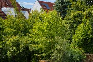 Familiengerechtes Reihenhaus in Remseck am Neckar, Wohngebiet Halden – Otto-Hirsch-Straße 16, 71686 Remseck am Neckar – Vorschaubild 8