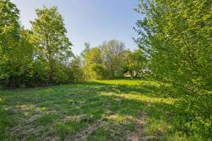 ::: Unbedingt anschauen I gr. Grundstück, Platz für Familien + Haustiere und mit viel Potential ::: – Die vollständige Adresse der Immobilie erhältst du vom Anbieter., 70499 Weilimdorf-Nord, Stuttgart – Vorschaubild 31