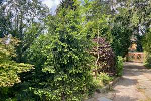 Einfamilienhaus mit Erweiterungspotential - ruhig gelegen in Berlin Kaulsdorf! – 12621 Kaulsdorf, Berlin – Vorschaubild 34