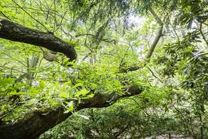 Property thumbnail 26