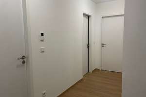 Moderne 4 Zimmer Wohnung im Vorderen Westen – Hardenbergstraße 3, 34119 West, Kassel – Vorschaubild 10