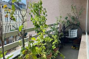 Helle 1-Zimmer Wohnung mit Balkon im 3. OG in Bonn-Poppelsdorf – Sternenburgstraße 95, 53115 Poppelsdorf, Bonn – Vorschaubild 8