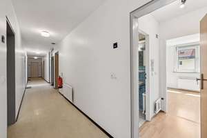 Wohnungspaket zwischen Isar und Englischer Garten – 80538 Englischer Garten, München – Vorschaubild 15