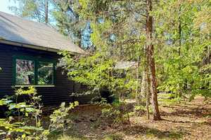 Draußen im Walde... idyllisch gelegenes Holzhaus auf 3.549 m² Waldgrundstück – Uelzen (Kreis) – Vorschaubild 21