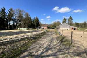 Einfamilienhaus mit weitläufigem Grundstück – Cuxhaven (Kreis) – Vorschaubild 17