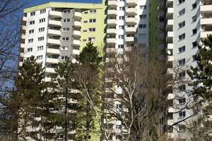 Geräumige Wohnung im Senftenberger Ring – Senftenberger Ring 86, 13435 Märkisches Viertel, Berlin – Vorschaubild 3