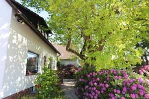 Viele Zimmer - großes Grundstück - 1-2 Familienhaus in Gifhorn - Nähe Innenstadt – Gifhorn (Kreis) – Vorschaubild 4