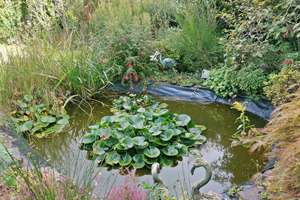 Property thumbnail 28