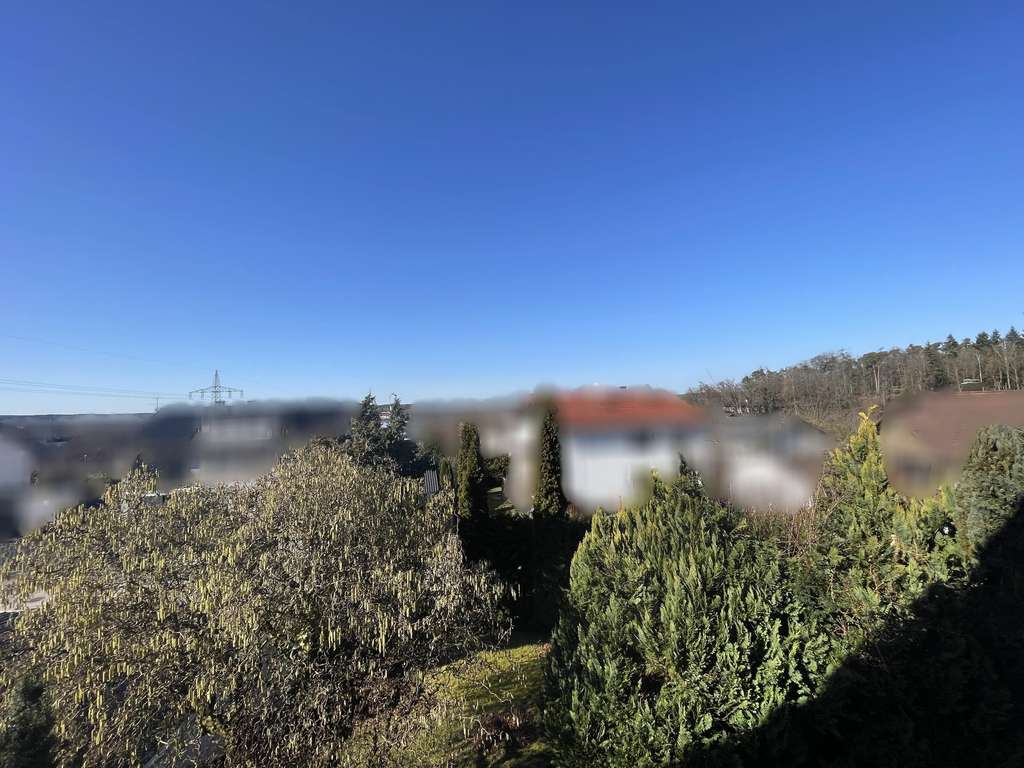 Immobilie in Mainburg - großzügiges Einfamilienhaus mit möglicher Einliegerwohnung und Garage in Mainburg - Bild 3