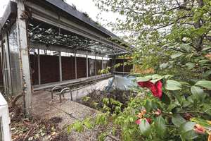Seltene Chance in Huttrop: Reihenendhaus auf großem Grundstück – Die vollständige Adresse der Immobilie erhältst du vom Anbieter., 45138 Huttrop, Essen – Vorschaubild 14