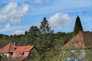 Wohnen, wo Berlin Urlaub macht ! Wilhelmshagen das Naturparadies mit urbaner Nähe  – Die vollständige Adresse der Immobilie erhältst du vom Anbieter., 12589 Rahnsdorf, Berlin – Vorschaubild 25