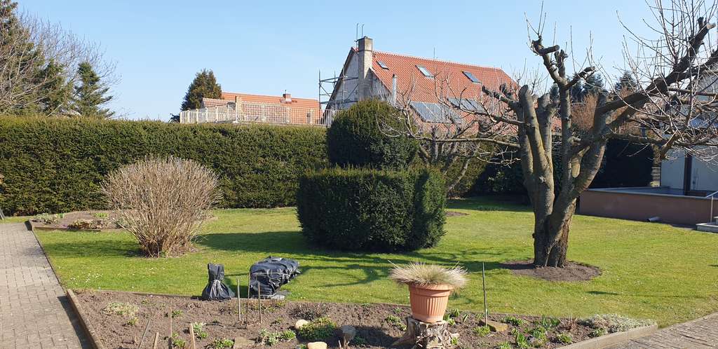 Immobilie in Brieskow-Finkenheerd - Wohnhaus mit vielen praktischen Vorzügen - Bild 4