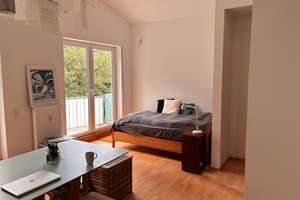 Stilvolle, geräumige und vollständig renovierte 1-Zimmer-Wohnung mit Balkon und EBK in Wiesbaden – Die vollständige Adresse der Immobilie erhältst du vom Anbieter., 65201 Schierstein, Wiesbaden – Vorschaubild 12
