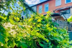 Sonniges, grosszügiges Reihenmittelhaus ca. 160 m², Terrasse, zwei Balkone, Gärten – Roth (Kreis) – Vorschaubild 3
