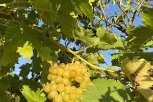 helle 3-Zimmerwohnung mit riesiger Dachterrasse und herrlichem Blick über Leipzig + bezugsfrei
