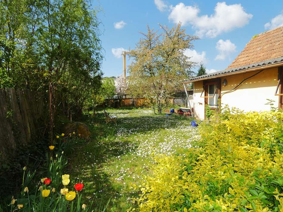 22 Garten