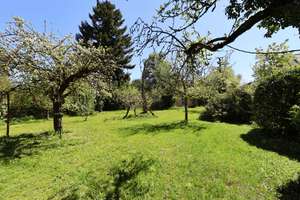 Einfamilienhaus mit großem Garten befristet zu vermieten – 89077 Weststadt, Ulm – Vorschaubild 27