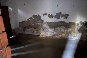 Der Traum vom Eigenheim in Reinholterode! – Bergstraße 26, 37308 Reinholterode – Vorschaubild 18