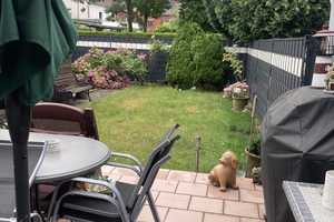 BESTENS GEPFLEGTE 140 m² WOHNFLÄCHE MIT GROSSEM KELLER UND GARAGE IN RUHIGER LAGE MIT GARTEN ! – Aachen (Kreis) – Vorschaubild 5