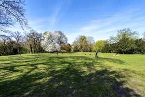 Property thumbnail 14