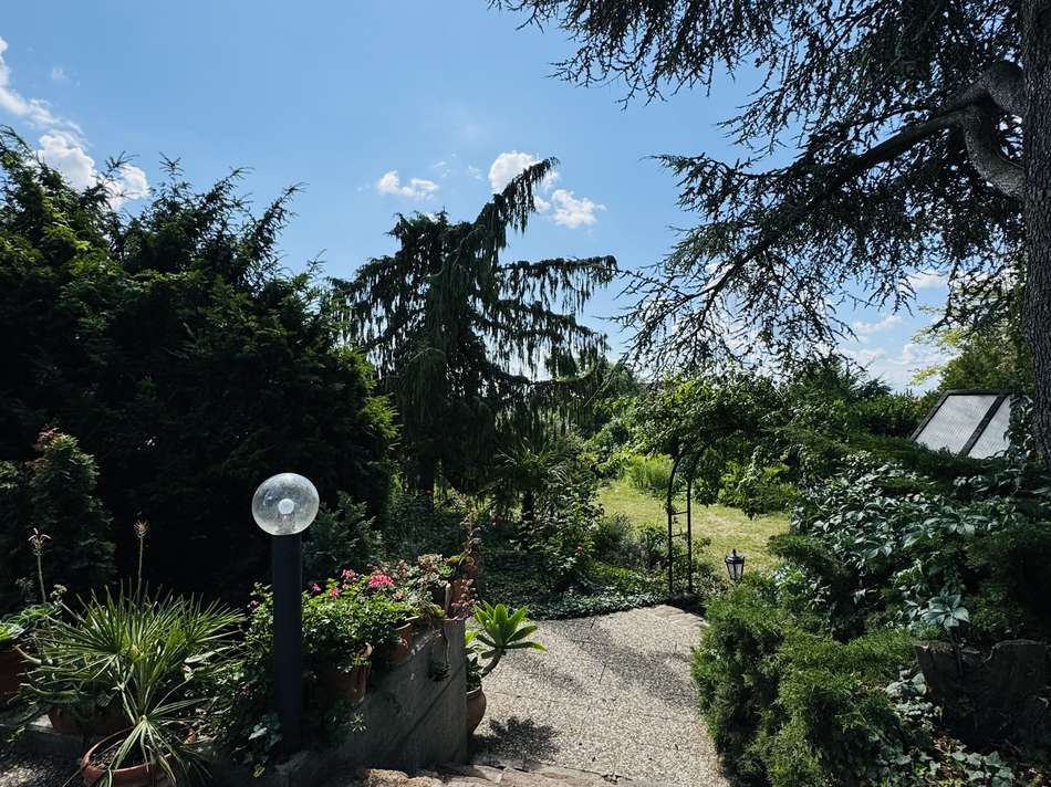 Abgang Garten