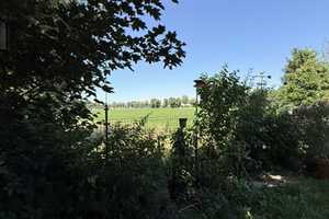 Verkauf: Charmantes Einfamilienhaus in begehrter Lage von Swisttal – Ideal für Eigennutzer und Kapit – Rhein-Sieg-Kreis – Vorschaubild 22