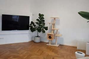 Property thumbnail 4