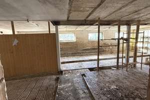 Wohnhaus mit großer Scheune - Platz für 7 Garagen - auf 1.700 m² Grundstück – Die vollständige Adresse der Immobilie erhältst du vom Anbieter., 88605 Sauldorf – Vorschaubild 12